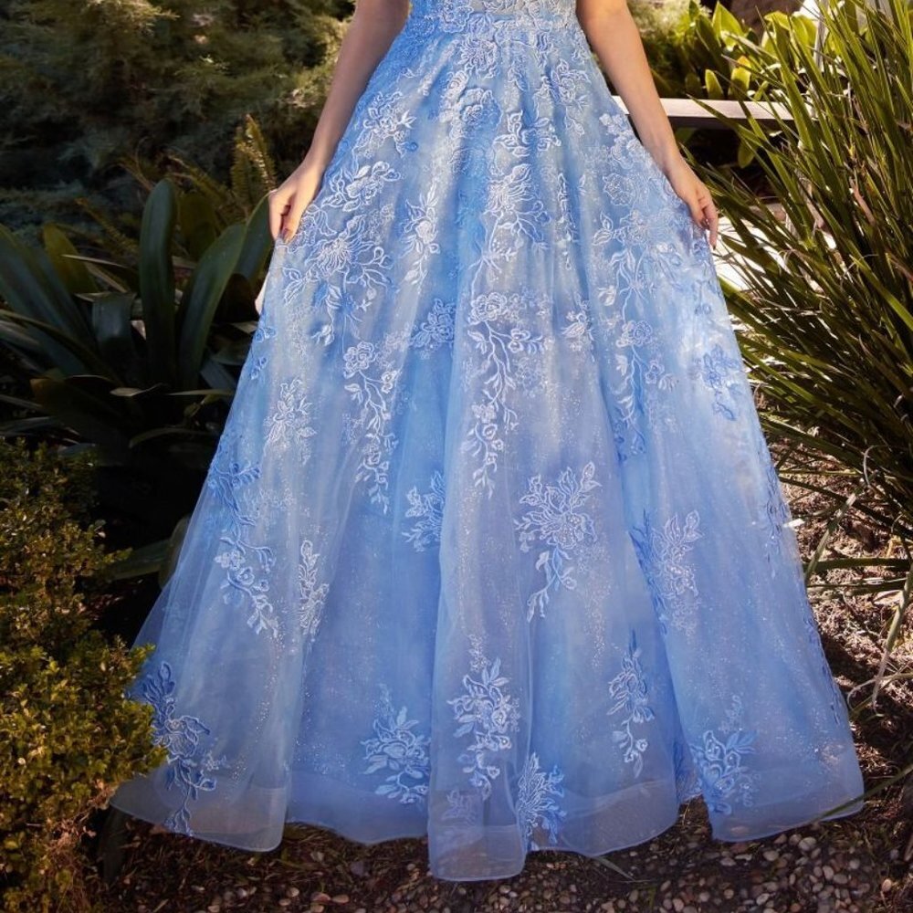 N/A NEW FORMAL SLEEVELESS A-LINE TULLE DRESS EMBROIDERED WITH FLORAL LACE A1248 - Picture 10 of 10